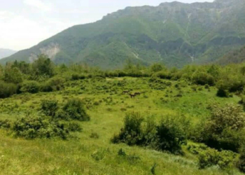 معرفی روستای تاریخی نپنی چهاردانگه