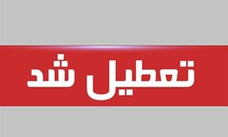 تعطیلی مراکز شماره گذاری و پلاک گذاری مازندران/ تمدید اعتبار وکالت نامه‌های متقاضیان خرید و فروش خودرو در مازندران