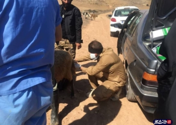 برگزاری اردوی جهادی جهادگران دانشگاه آزاد کرج در چهاردانگه