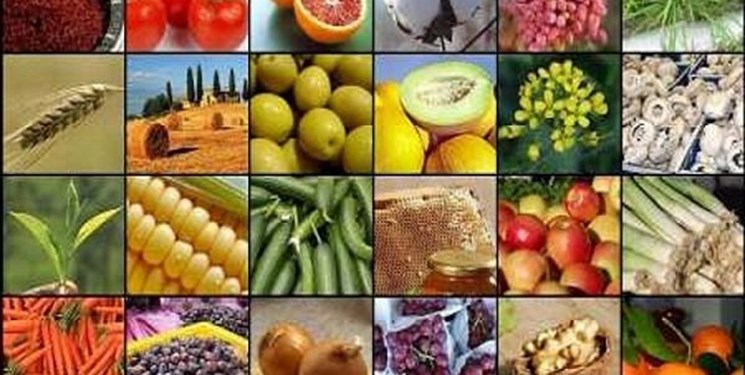 کشاورزی مازندران در گذر انقلاب/ از رسیدن به خودکفایی تا تلاش برای امنیت غذایی و تولید پایدار