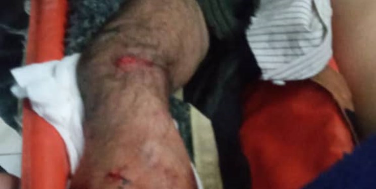 حمله یک قلاده خرس به قرقبان چهاردانگهای