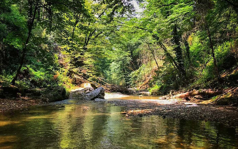 معرفی رود خانه تجن ساری
