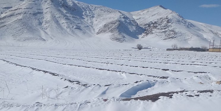 میزان بارش برف در برخی نقاط مازندران ۵۰ سانتی‌متر بود