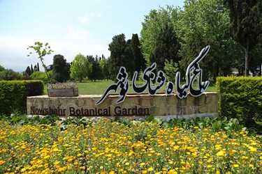 "گنجینه سبز" نوشهر