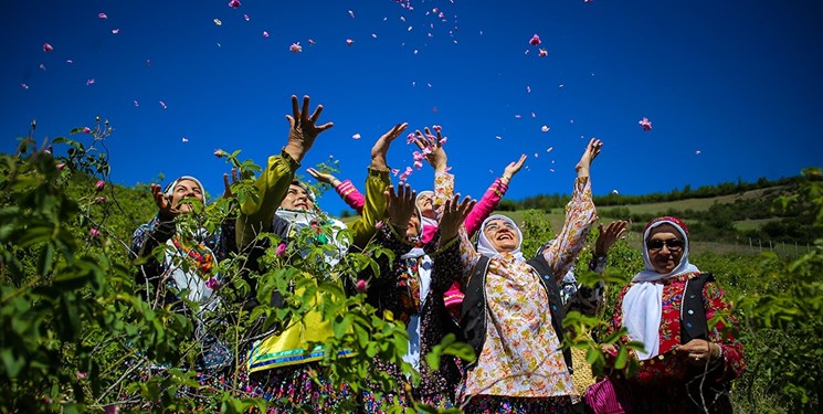 پایانی متفاوت برای جشنواره گل و گلاب در دودانگه ساری