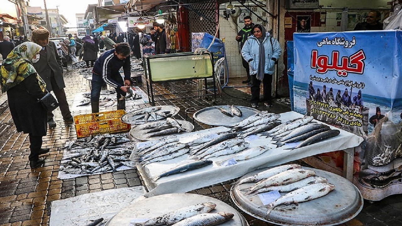 فروش ۵۱ میلیون تومانی یک قطعه ماهی در بازار فریدونکنار