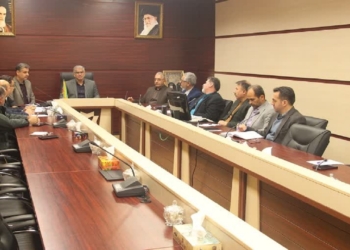 پیش بینی خرید تضمینی ۱۲۱ هزار تن گندم و ۱۸ هزار تن کلزا در مازندران