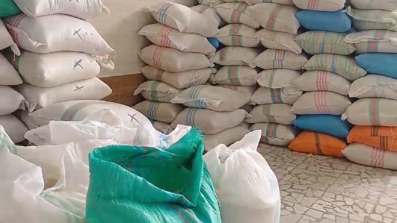 استمرار خرید برنج سال گذشته کشاورزان در مازندران + فیلم