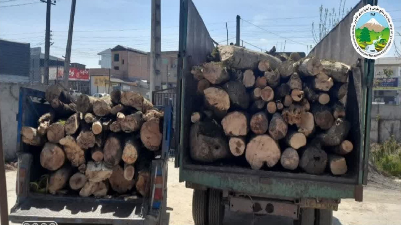 کشف ۵ تن چوب جنگلی قاچاق در کلاردشت