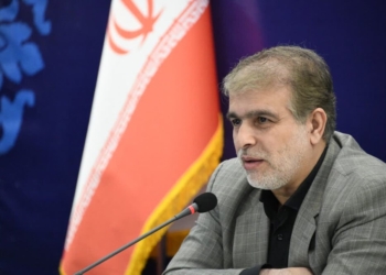تاکید رئیس دادگستری مازندران بر اهمیت مقابله با قاچاق چوب در استان