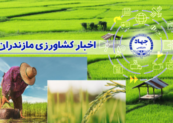 کشاورزی دانش‌ بنیان، کلید توسعه پایدار مازندران