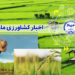 کشاورزی دانش بنیان، کلید توسعه پایدار مازندران