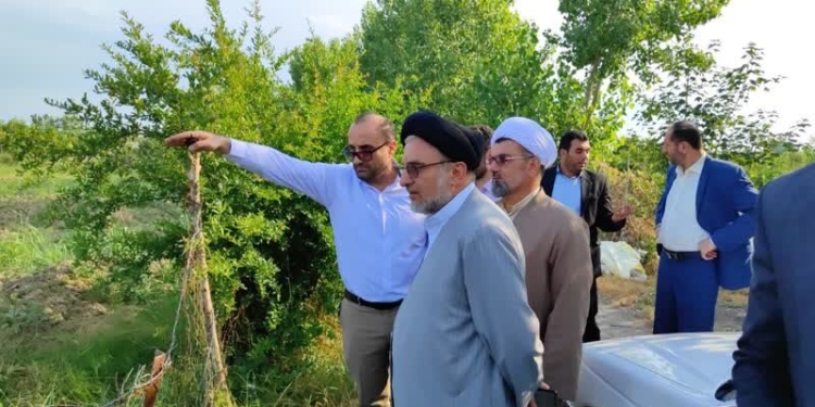 احیای زنجیره‌های زراعی و پروتئینی کشور با کمک وقف