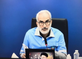 ساماندهی درختان برای جلوگیری از سیلاب
