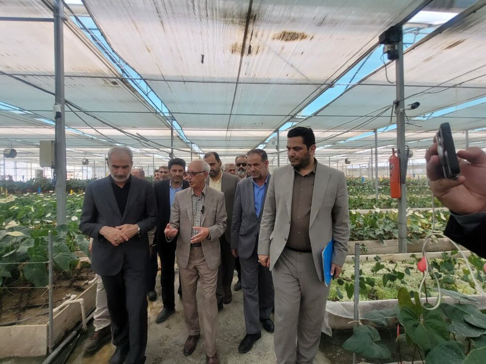 پیگیر طرح‌های نیمه تمام شهرستان نور هستیم