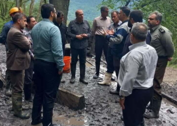 اعزام اکیپ ویژه بازرسی به مازندران برای بررسی قطع درختان