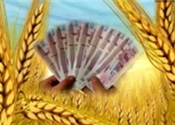 خرید تضمینی ۱۰۵ هزارتن گندم از گندمکاران مازندرانی