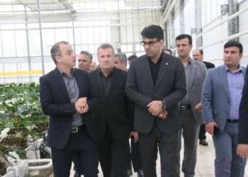 اختصاص ۳ همت تسهیلات حمایتی بانک توسعه تعاون برای بخش صنعت و کشاورزی مازندران