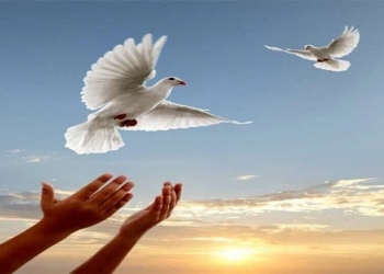 جوان محکوم به قصاص در چالوس، پای چوبه‌دار بخشیده شد
