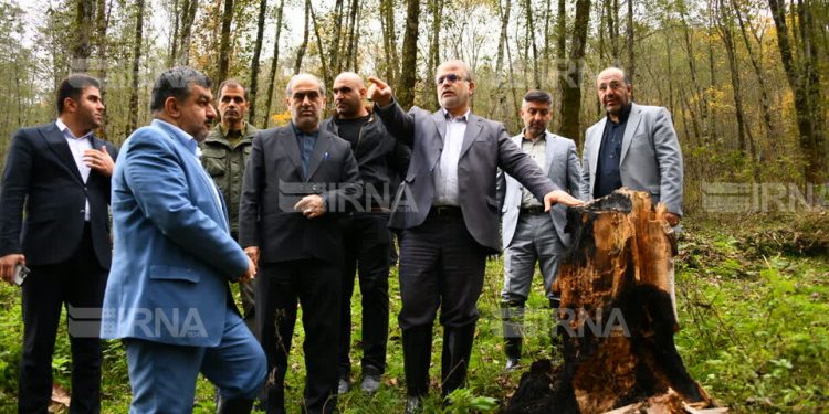 رییس کل دادگستری مازندران: برخورد قاطع و قانونی با متخلفان حوزه منابع طبیعی در بازدید از جنگل روستای الیرد چهاردانگه