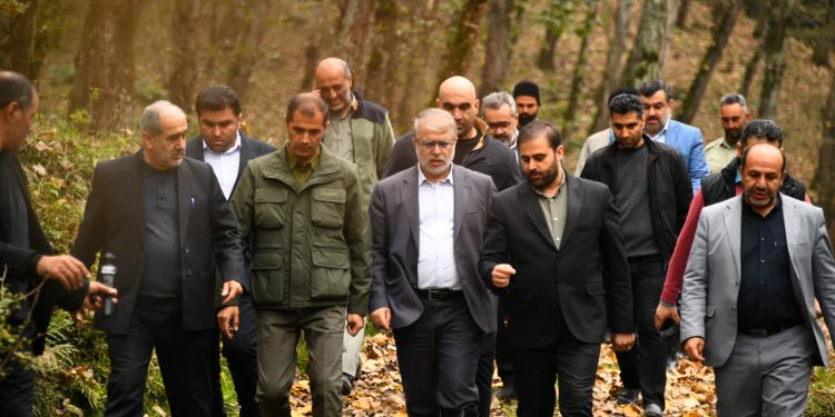 دستور کار ویژه دستگاه قضایی با عاملان تخریب منابع طبیعی روستای الیرد