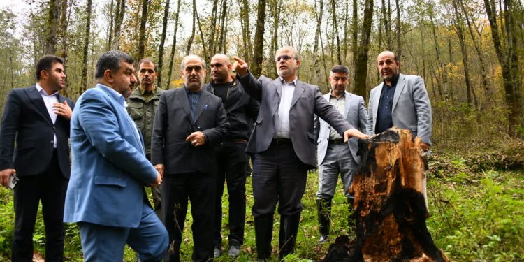 رسیدگی به پرونده متخلفان حوزه منابع طبیعی در محاکم قضایی مازندران