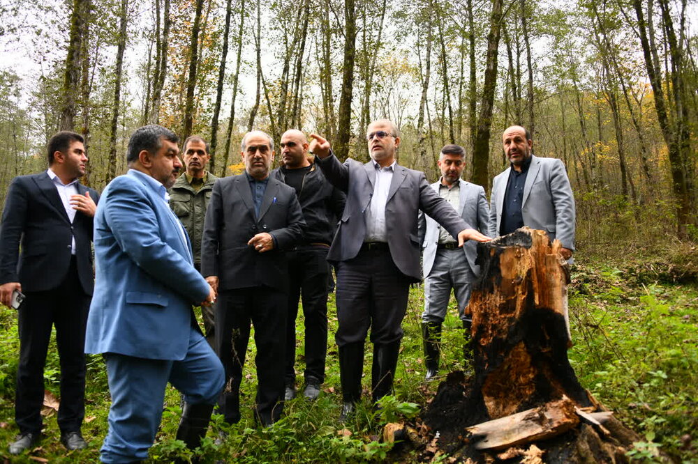 رسیدگی به پرونده متخلفان حوزه منابع طبیعی در محاکم قضایی مازندران