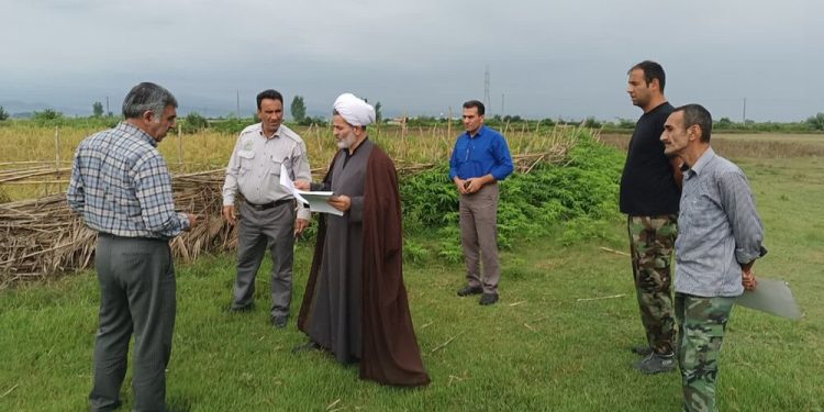 فرصت دو ماهه دادستان بابل به متصرفین اراضی ملی بخش بند پی غربی