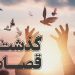 یک محکوم به قصاص نفس در نوشهر از چوبه دار رهایی یافت
