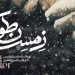  مستند «زمستان طولانی»، وفاداری پیرمرد چهاردانگه‌ای به زندگی روستایی