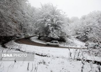 بارش برف در شهرستان سوادکوه