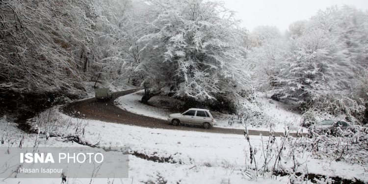 بارش برف در شهرستان سوادکوه