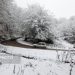 بارش برف در شهرستان سوادکوه