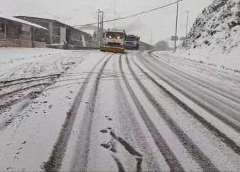 بارش ۲۰ سانتی برف در محور چالوس/ تردد روان است