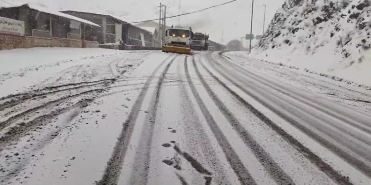 بارش ۲۰ سانتی برف در محور چالوس/ تردد روان است
