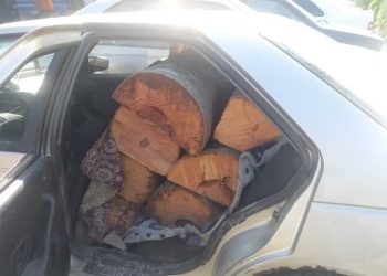 جزئیات درگیری مامور منابع طبیعی با قاچاقچی چوب در بهشهر