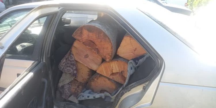 جزئیات درگیری مامور منابع طبیعی با قاچاقچی چوب در بهشهر