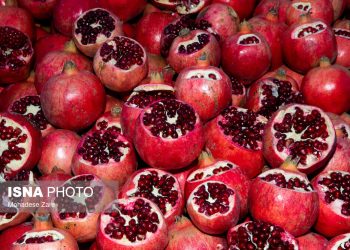 نظارت بازار «شب یلدا» از امروز شروع شد