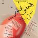 نمایش «هیپوفیز» روی صحنه می‌رود