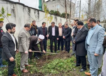 گسترش «سایه مهر مادری» با کاشت درخت