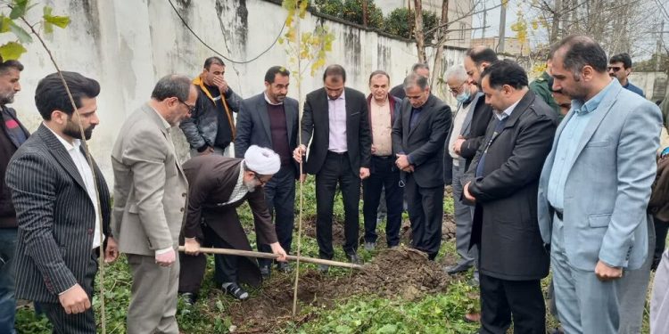 گسترش «سایه مهر مادری» با کاشت درخت
