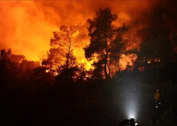 آتش‌سوزی در چالوس مهار شد