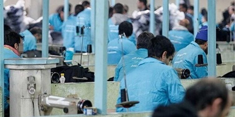 مازندران رتبه دوم کاهش بیکاری را کسب کرد