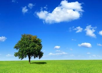 هوای پاک و ضرورت استفاده از انرژی‌های تجدید پذیر