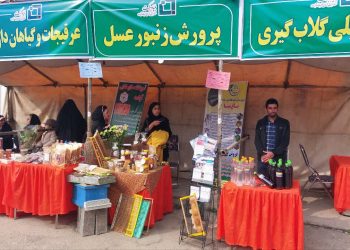 از دو کارآفرین نمونه چهاردانگه‌ای تجلیل شد+تصاویر