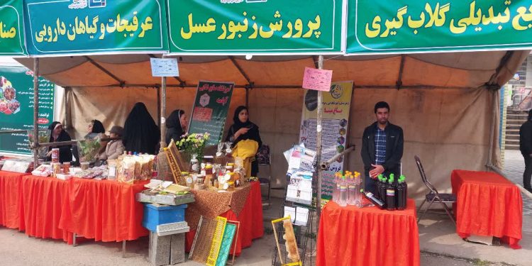 در آئین افتتاحیه ۳۵۰ طرح اشتغالزایی بنیاد برکت  از دو کارآفرین نمونه چهاردانگه‌ای تجلیل شد+تصاویر