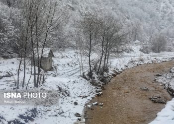 بارش برف و باران در سوادکوه