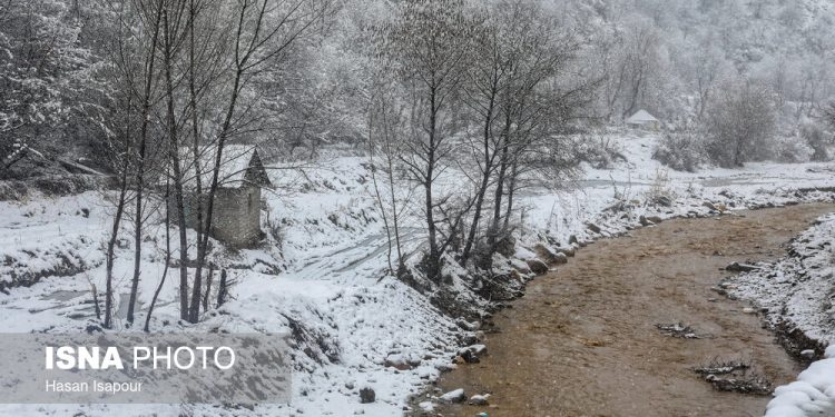 بارش برف و باران در سوادکوه