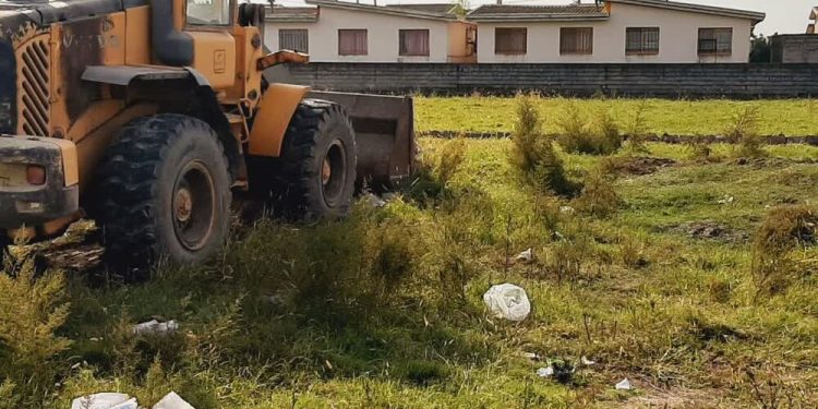 بازگشت ۲۳۸ هزار متر مربع از اراضی کشاورزی مازندران به چرخه تولید