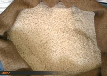 درباره سلامت برنج‌های وارداتی اطلاع‌رسانی شود